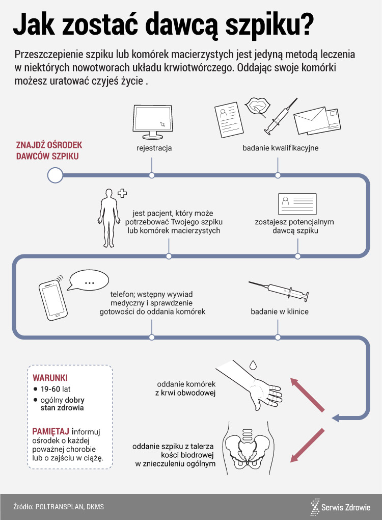 Jak zosta dawc szpiku 01