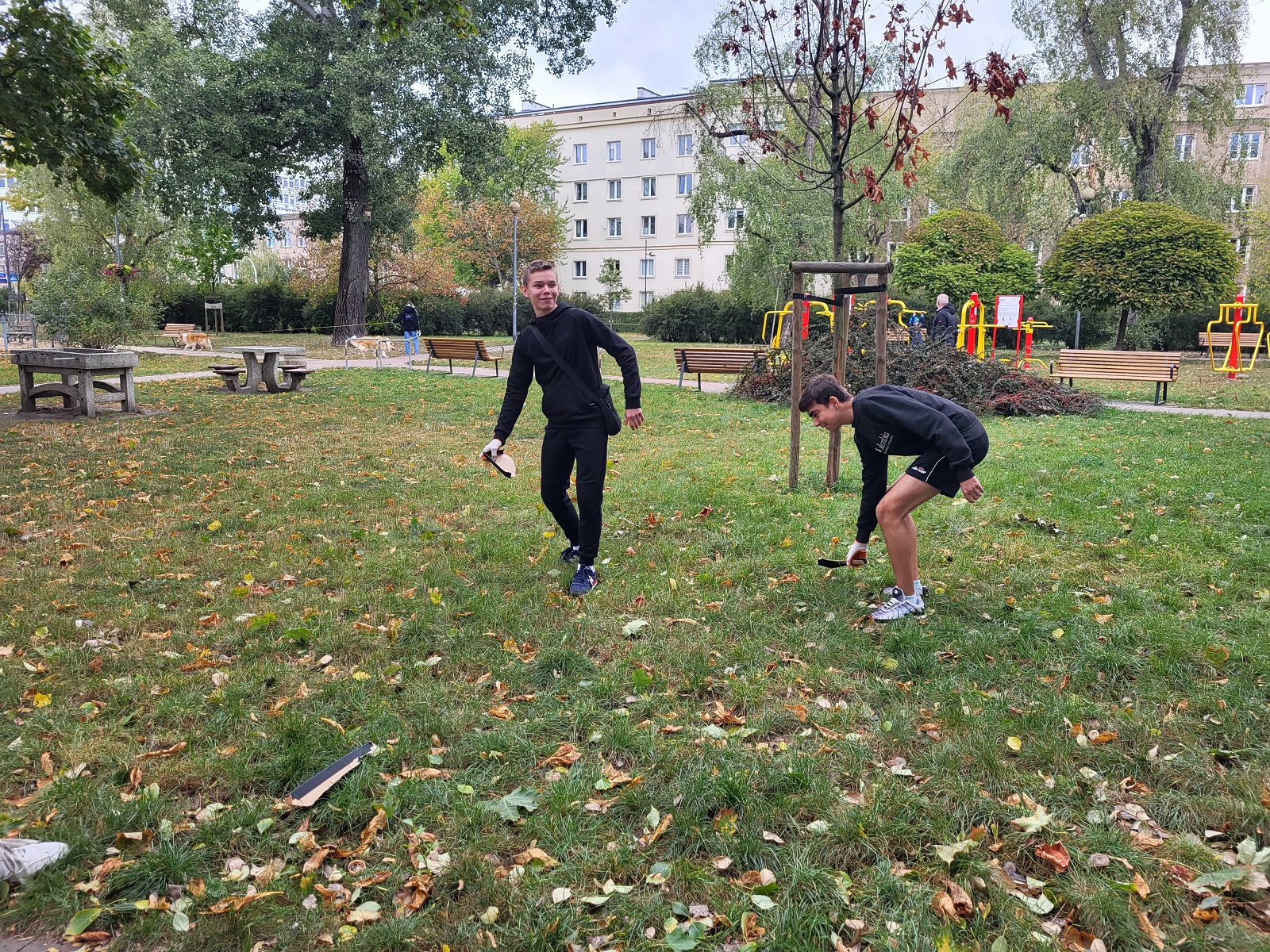 sprzatanie dla polski 2